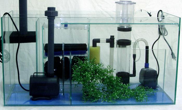 Как установить фильтр в аквариум?
