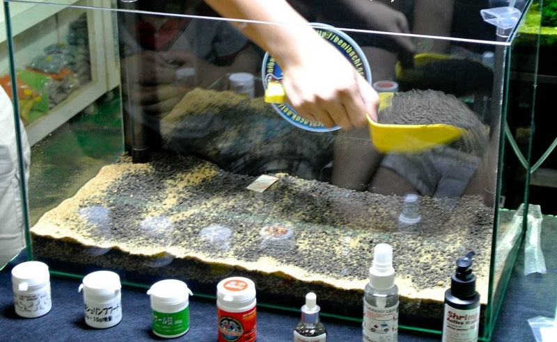 Как уложить грунт в аквариум: с чего начать?