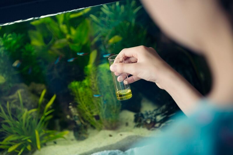 Как проводится профессиональное обслуживание аквариумов и для чего оно необходимо?