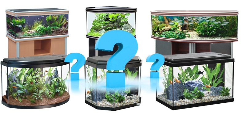 Как правильно выбрать аквариум для рыбок?
