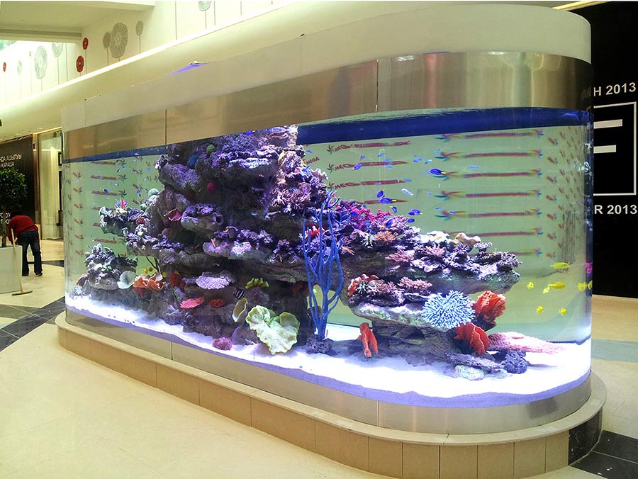 Купить аквариум на валберис для дома недорого сборная съемка для маркетплейс москва