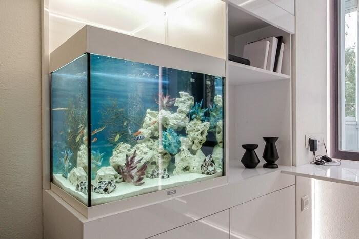 Изготовление мебели для аквариумов