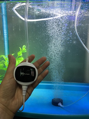 Ремонт аквариумного компрессора
