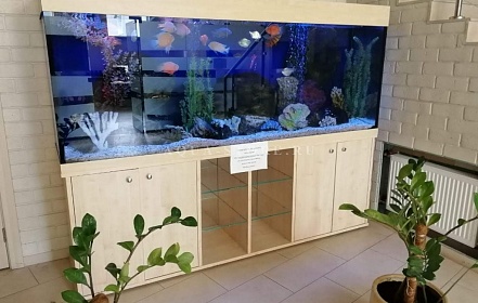 аквариум 2