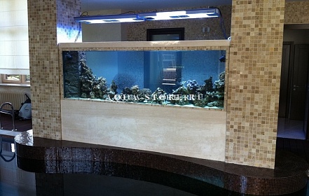 аквариум 11