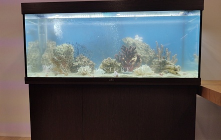аквариум 4